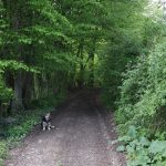 IMG_0598 (1)
